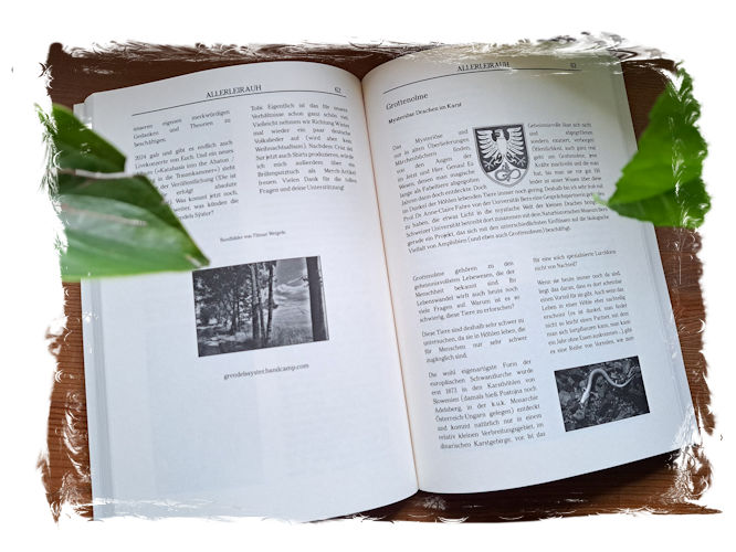 ar 03 12 15 2024 12 49 AM